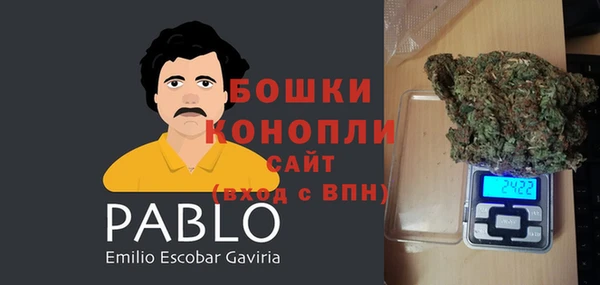 PSILOCYBIN Верхний Тагил