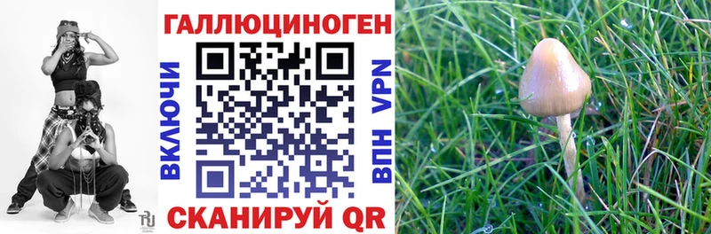 Псилоцибиновые грибы Magic Shrooms  Купить закладки  Суоярви 